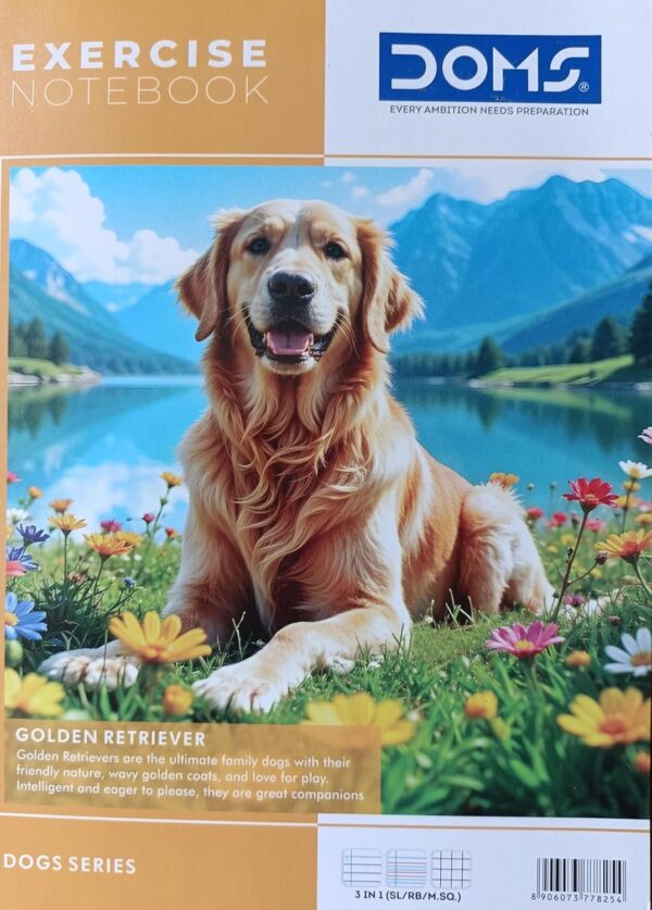 doms school notebooks 120 pages 3 in 1 notebook for students